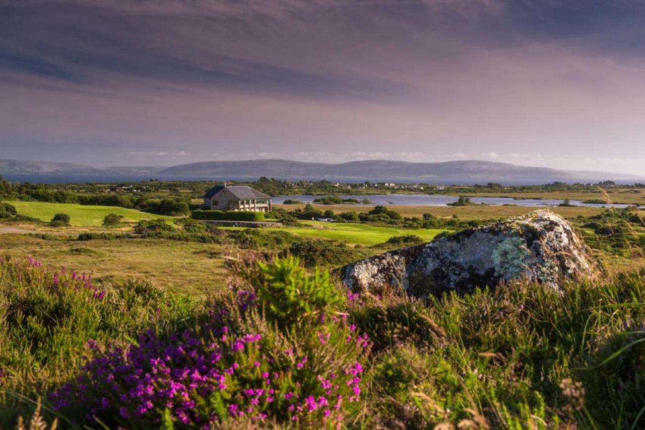 Frank'S Villa Galway Dış mekan fotoğraf